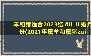 羊和猪适合2023结 🐟 婚月份(2021年属羊和属猪zui
佳结婚日期元月)